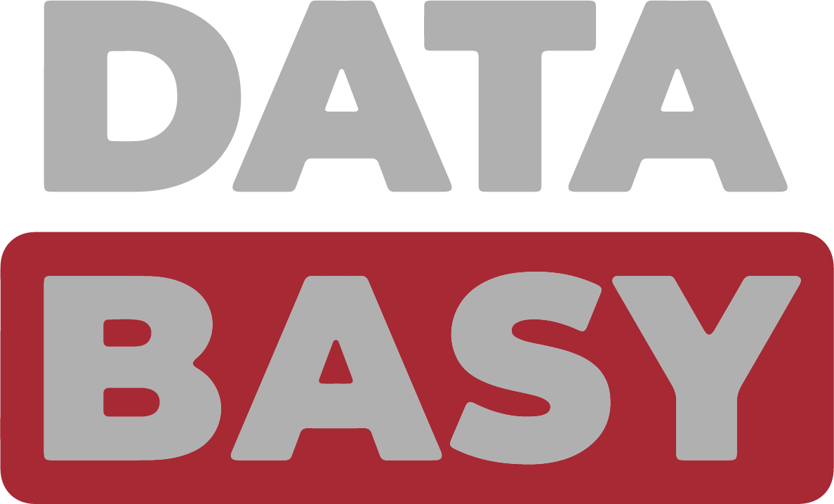 DataBasy logo